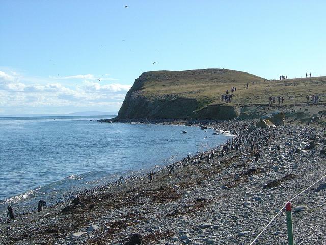 Magdalena Island, Magallanes Region